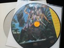 ROLLING STONES Jay Is Not Dead RARE Picture disc 100 Made *MINT-* not TMOQ