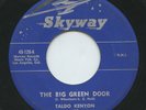 HEAR - Rare R&B / Novelty 45 - Taldo Kenyon & The Spacemen - The Big Green Door