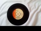 The Termites,Vinyl Single,Push Push/Girls.