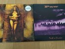 2 Grunge/Alternative Vinyl LPs - Nudeswirl - Same + Paw - Death To Traitors