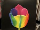Lettuce “Live in Amsterdam” 2xVinyl Clear/Rainbow Splr.  Ltd to 500 ** SEE PICS