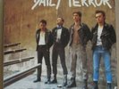 DAILY TERROR - aufrecht , LP 1984 D