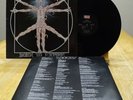 Leeway - Born To Expire - EX Vinyl - UK 1989
