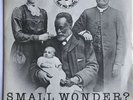 The Carpettes Small Wonder 7 Inch 45 Vinyl NM