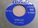 JOEY MICHEALS - 'SIXTEEN CATS'  RARE 1958 45 AMERICAN ROCKABILLY ORIGINAL  NM