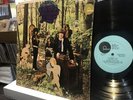 The Little Boy Blues   In The Woodland Of Weir   LP   1st Press   Psych   Garage