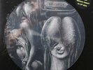 The Shiver-Walpurgis Swiss prog psych picture disc lp reissue new 8 pg insert