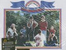 Sunflower by The Beach Boys (180g Vinyl LP),2015, Analogue Productions)