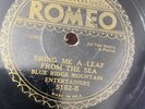 RARE 1931 Romeo 78 TOM ASHLEY & GWIN FOSTER Blue Ridge Mountain Entertainers VG￼