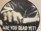 Children of Bodom- are you dead yet Picture Vinyl