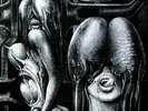 Prog - The Shiver – Walpurgis - D Reissue 2010 (Lim.Ed. 1000 copies) Mint, offen