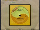DEBBIE HARRY BLONDIE - THE WIND IN THE WILLOWS BRAZIL 7