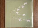 *SEALED* MODEST MOUSE   GOOD NEWS for PEOPLE that LOVE BAD NEWS 2xLP VINYL New