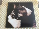 Pixies - Here Comes Your Man    12