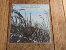 Another Sunny Day I'm In Love With A Girl... 7