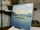Kodaline ‎– In A Perfect World - 12” Vinyl - LP Record - Limited Edition (2013)