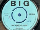 Dobby Dobson that wonderful sound Big BG 303  7” Vinyl Record Reggae 1970