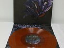 2017 Julien Baker- Turn Out The Lights ORANGE VINYL   Lp Record -R32