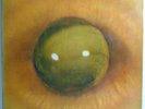 TOM ZE TODOS OS OLHOS BRAZIL 1973 PRESS LP GATEFOLD PSYCH TROPICALIA CONTINENTAL