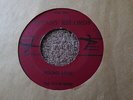 The Fly Bi Nites   Found Love / Come on up - TIFFANY # NRC-564 - RARE GARAGE 45