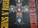 Appetite for Destruction by Guns N' Roses (Record, 2008)