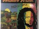 BURNING SPEAR Resistance HEARTBEAT 80's Roots Reggae LP EX