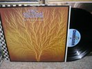 VAN DER GRAAF GENERATOR-Still Life-OR.PROGRESSIVE ROCK VG++ UK LP