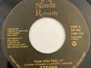 Modern Soul Boogie 45 Stesha - Can You Feel It rare