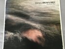 SMALL BROWN BIKE - The River Bed LP PINK VINYL, no idea, hot water music, emo