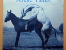 Geile Tiere ‎– Geile Tiere 1981 Germany NM vinyl LP GeeBeeDee ‎GBD 0022