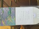 ALT-J - An Awesome Wave Vinyl LP WHITE RARE