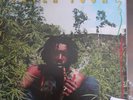 Peter Tosh - Legalize it  original 1976 Early Press vinyl LP. Very Good+++ Con.