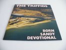 THE TRIFFIDS 'BORN SANDY DEVOTIONAL' LP UK HOT RECORDS 1986 PICTURE INNER INSERT