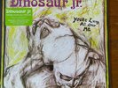 Dinosaur jr You're Living All Over Me Newbury Comics Exclusive- Green Vinyl