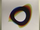Orbital - Wonky vinyl  (Excellent condition)