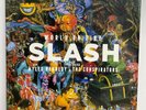 World on Fire LP Slash 180g Vinyl 2LP 2014 Dik Hayd Records RED Sealed