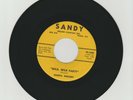DARRYL VINCENT- Wild Wild Party -   ( USA)  or.press.  M-