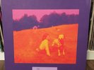 THE EELS • Blinking Lights Ltd Box Set • 2008 ALT ROCK BLUES 4LP + Book