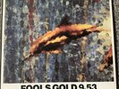 The Stone Roses Fools Gold Vinyl 1989 First Pressing ORE T 13