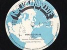 Leroy Smart - Meaning Of Life (12