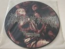 Cradle Of Filth - Vempire 12” Picture Disc Vinyl Cacophonous