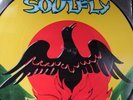 Soulfly Primitive 12”Vinyl Picture Disc