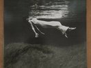 Bill Evans & Jim Hall ‎– Undercurrent (Mobile Fidelity Sound Lab, MFSL) Nr. Mint