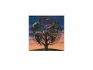 Laughing Stock by Talk Talk (Vinyl LP), 2016, Universal Music
