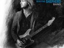 Wayne Shepherd Kenny-Lay It On Down VINYL LP NEW