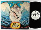 Steve Hillage - Fish Rising LP - Virgin VG++ PROMO