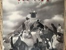 RUSH Presto Original 1989 LP Album A1-82040 w/Inner VG++/VG++ CLEAN NEIL PEART