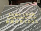 Yung Lean Unknown Death