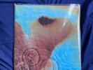 PINK FLOYD- Meddle LP VG+, Great Condition