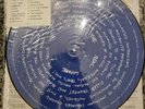 System Of A Down Steal This Album Vinyl Record Picture Disc